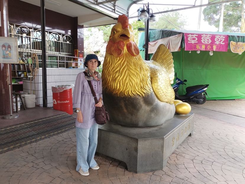 IMG20241030143824 - 7 Sun Moon Lake