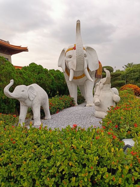 IMG20241030170539 - 7 Sun Moon Lake