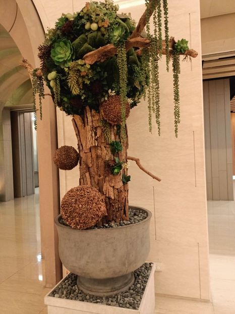 IMG20241030172933 - 7 Sun Moon Lake