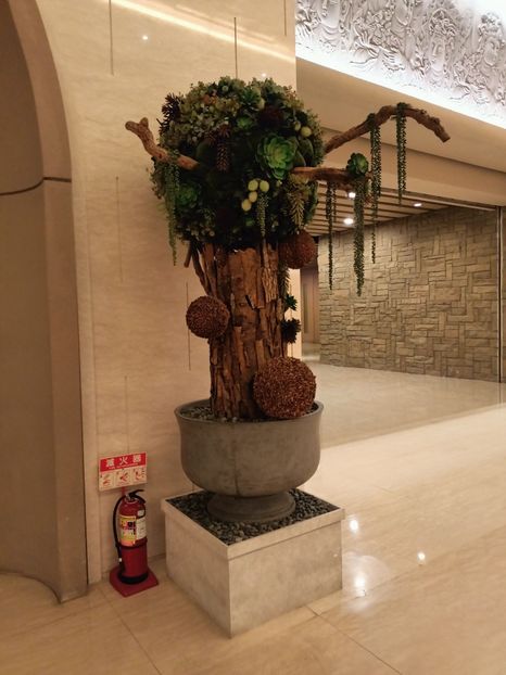 IMG20241030174343 - 7 Sun Moon Lake