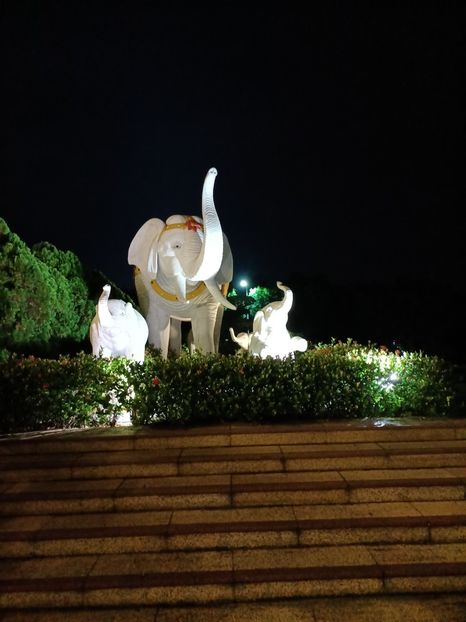 IMG20241030175440 - 7 Sun Moon Lake