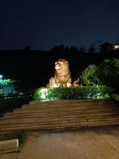 IMG20241030175452 - 7 Sun Moon Lake