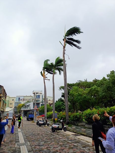 IMG20241031120642 - 8 Tainan