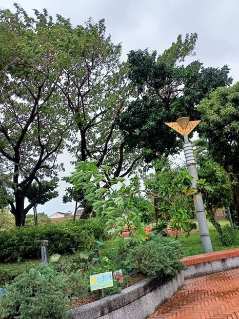 IMG20241031120957 - 8 Tainan