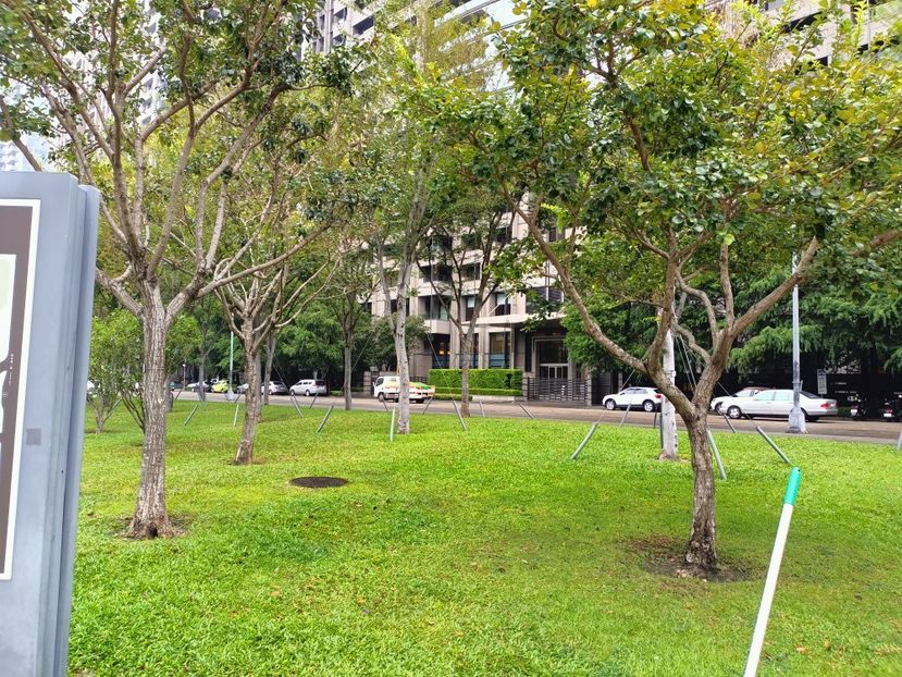 IMG20241101143340 - 9 Taichung