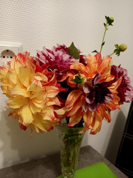 Img.2024.10.06 - X-Dalii sau Gheorghine