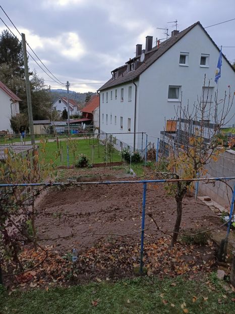 Img.2024.11.02 - X-Dalii sau Gheorghine