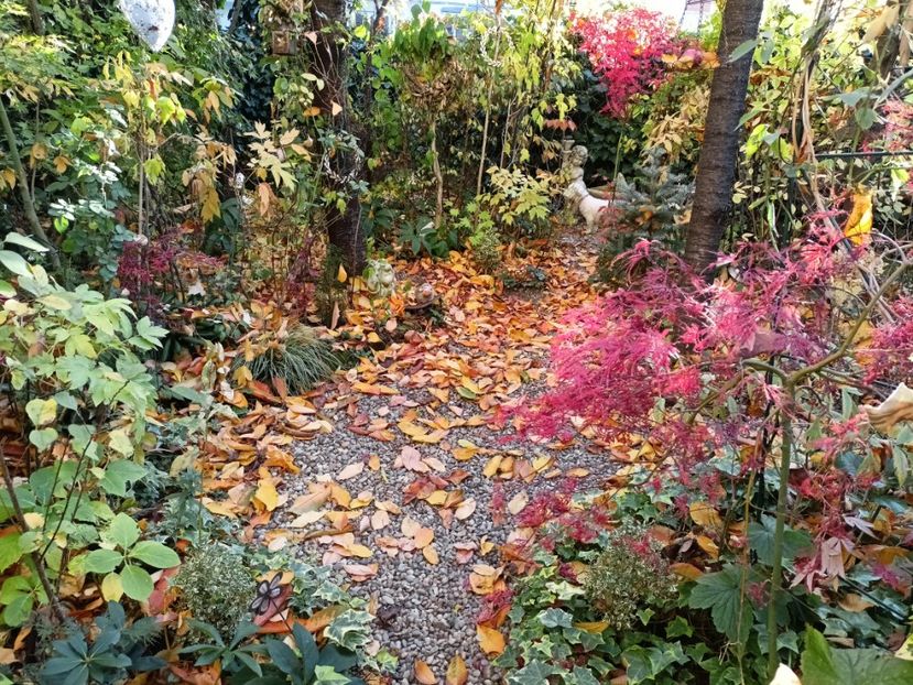 Prince Charming - Grădina 2024 continuare 5