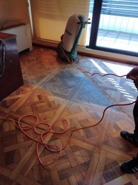  - 2024 Parchet Raschetat