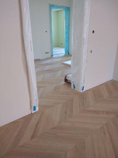  - 2024 Parchet Montat