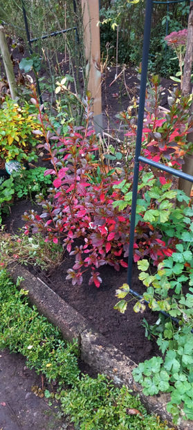  - 2024 - 03 - Toamna