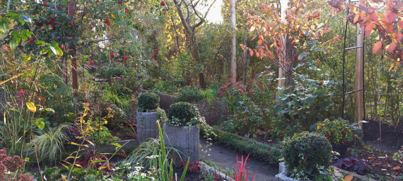  - 2024 - 03 - Toamna