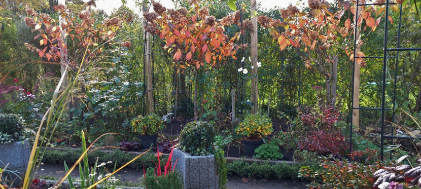  - 2024 - 03 - Toamna