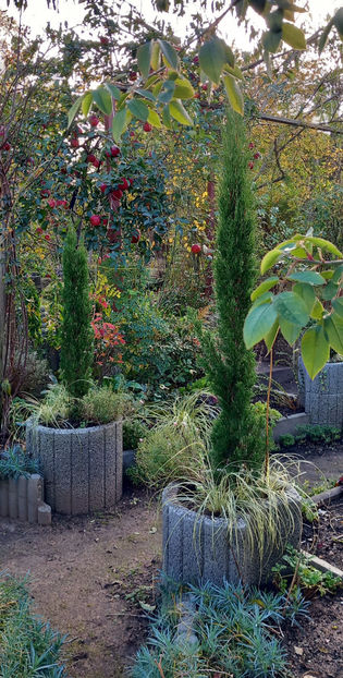  - 2024 - 03 - Toamna