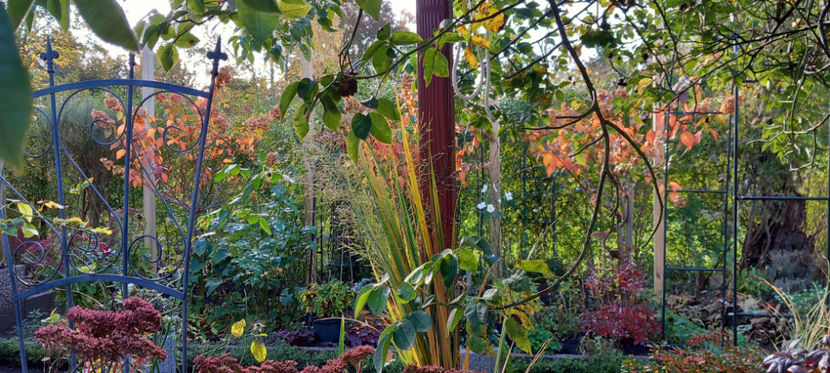  - 2024 - 03 - Toamna