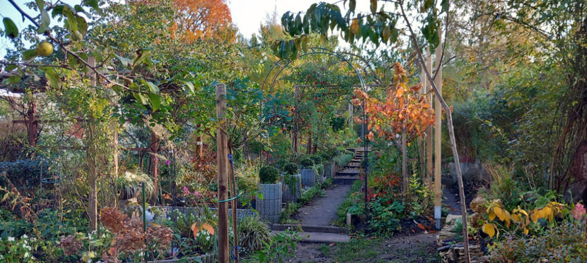  - 2024 - 03 - Toamna