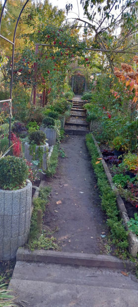  - 2024 - 03 - Toamna