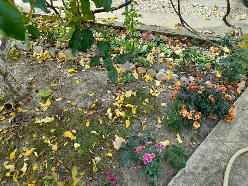  - 1 2024 Din nou cu natura impreuna !