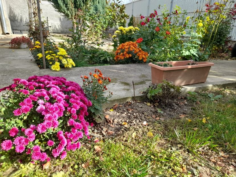  - 1 2024 Din nou cu natura impreuna !