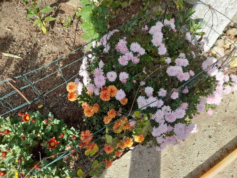  - 1 2024 Din nou cu natura impreuna !