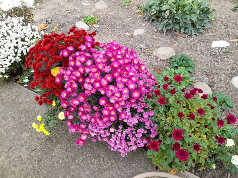  - 1 2024 Din nou cu natura impreuna !