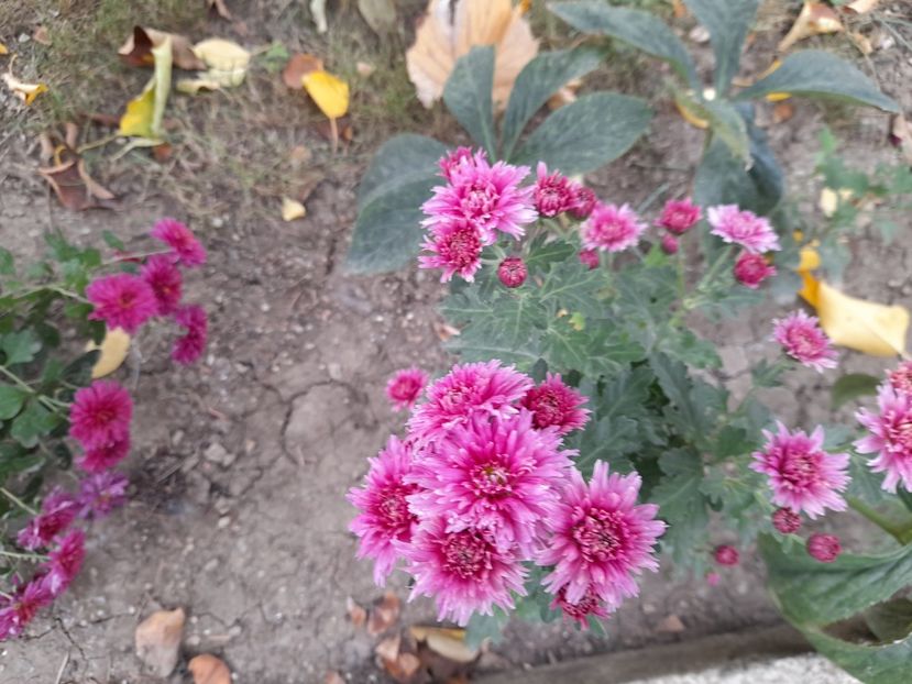  - 1 2024 Din nou cu natura impreuna !