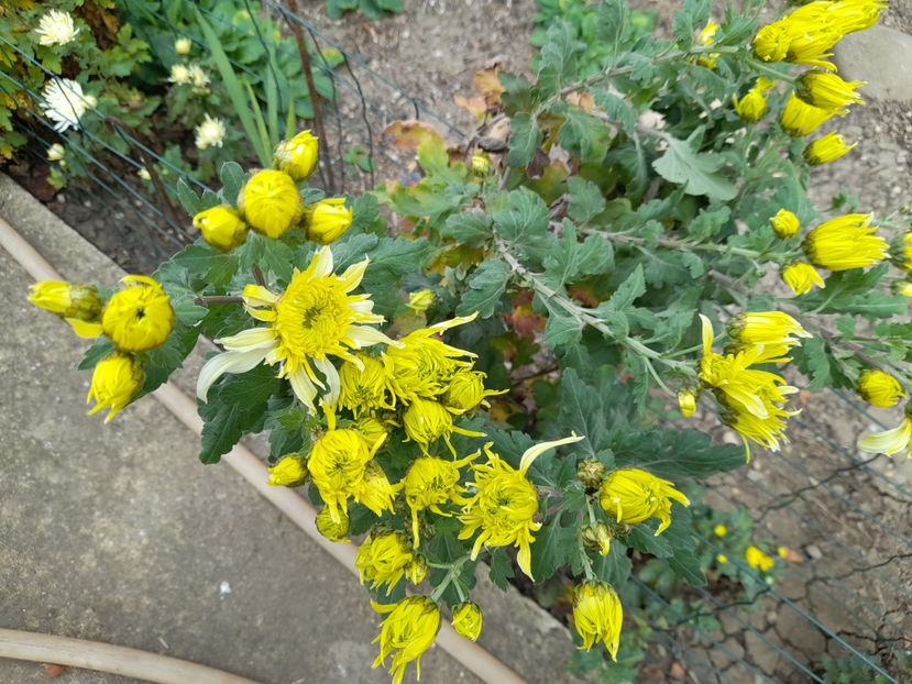  - 1 2024 Din nou cu natura impreuna !