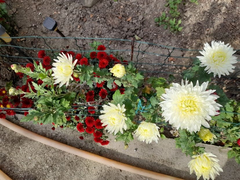  - 1 2024 Din nou cu natura impreuna !