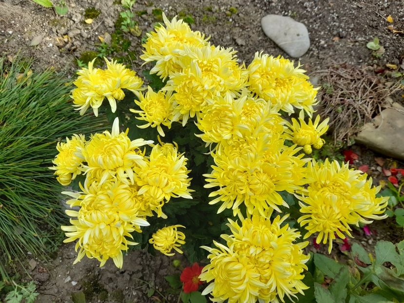  - 1 2024 Din nou cu natura impreuna !