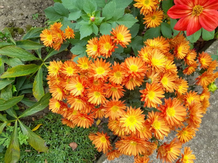  - 1 2024 Din nou cu natura impreuna !