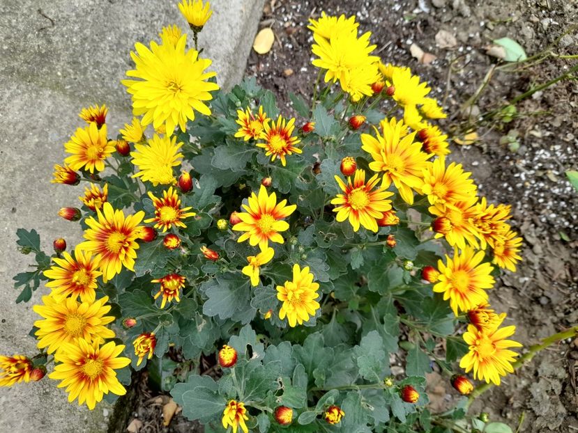  - 1 2024 Din nou cu natura impreuna !