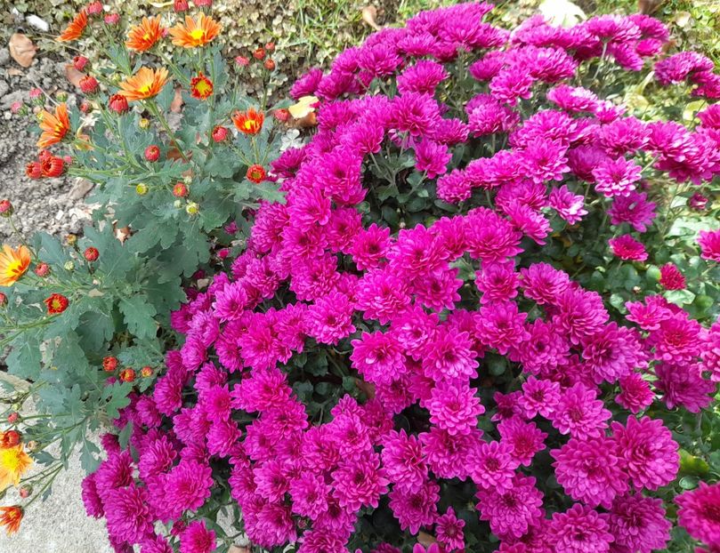  - 1 2024 Din nou cu natura impreuna !