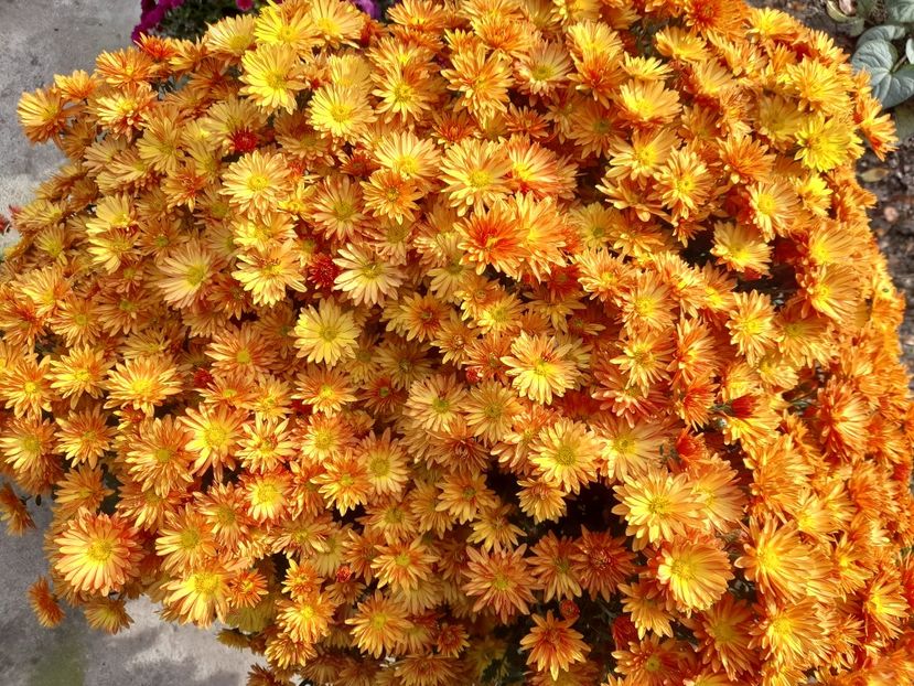  - 1 2024 Din nou cu natura impreuna !