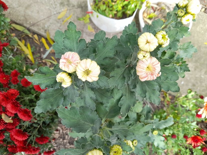  - 1 2024 Din nou cu natura impreuna !