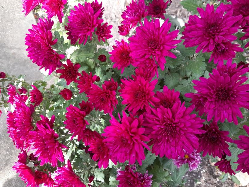  - 1 2024 Din nou cu natura impreuna !