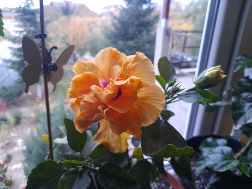  - 1 2024 Din nou cu natura impreuna !