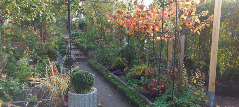  - 2024 - 03 - Toamna