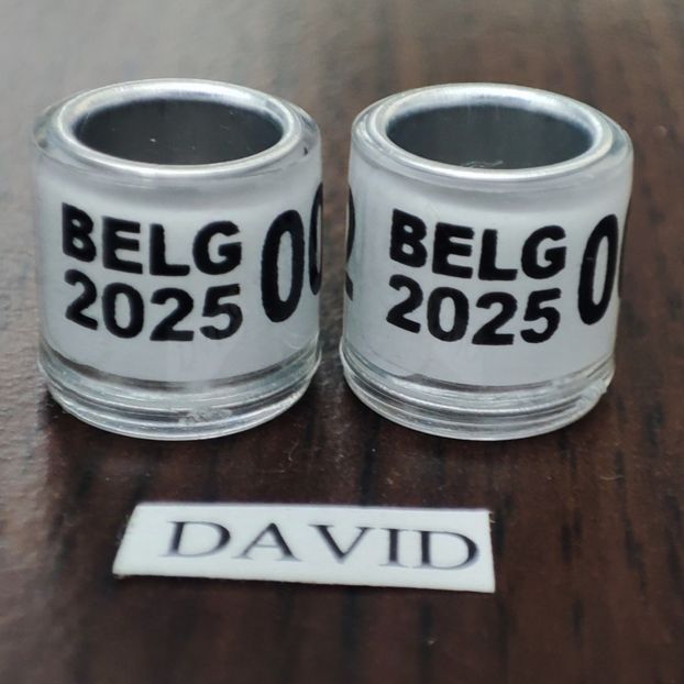 2025-BELG fata talon ...-1 leu - Inele 2014