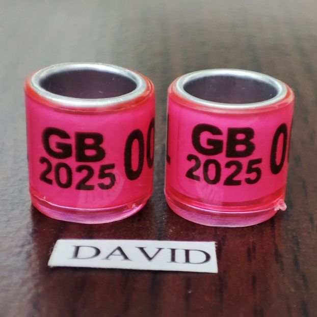 2025-GB fara talon....-1 leu - Inele 2014