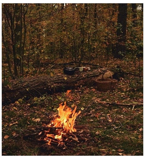 ♡ ɴᴏᴠᴇᴍʙᴇʀ 8 » „Misplaced trust and old friends, never counting regrets, by the grace - Tomnatic și nostalgic