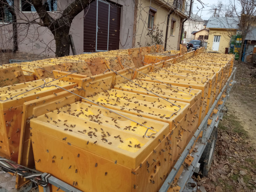 ultraBee24 - 2024