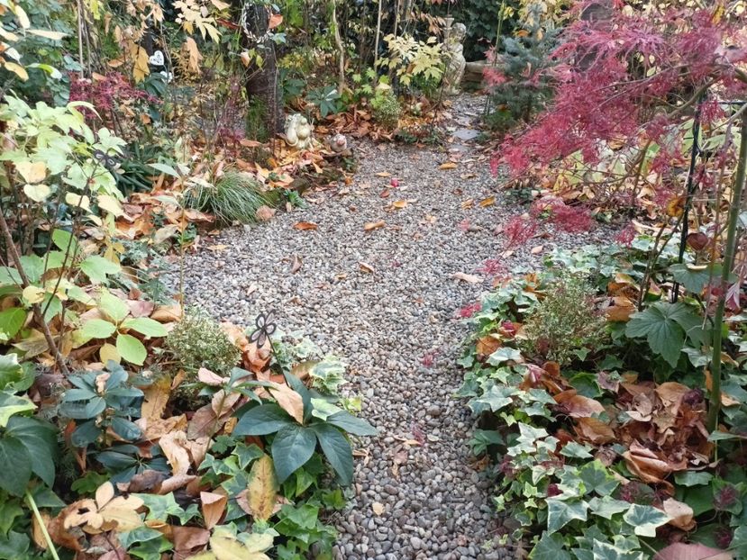  - Grădina 2024 continuare 5