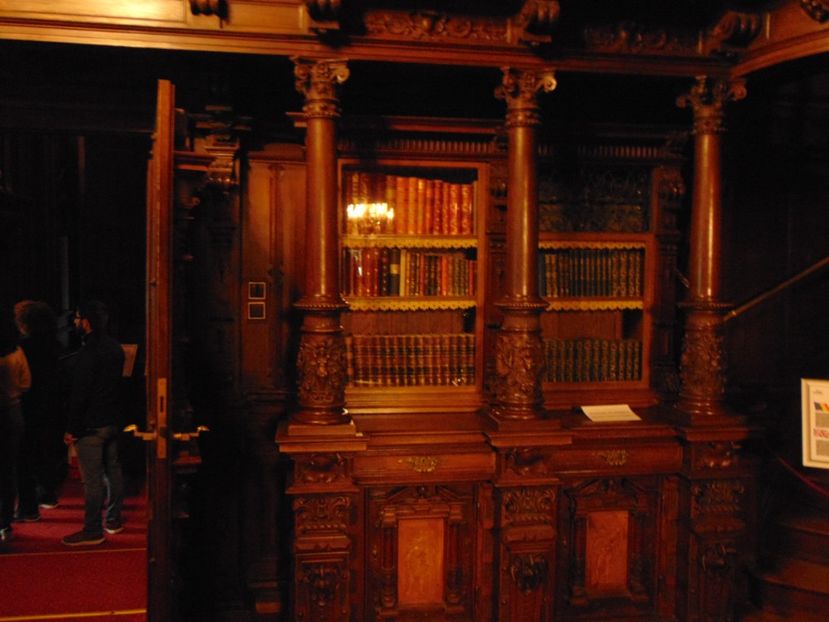  - CASTELUL PELES