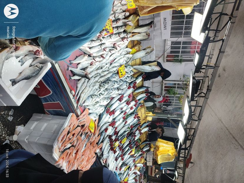  - ISTANBUL
