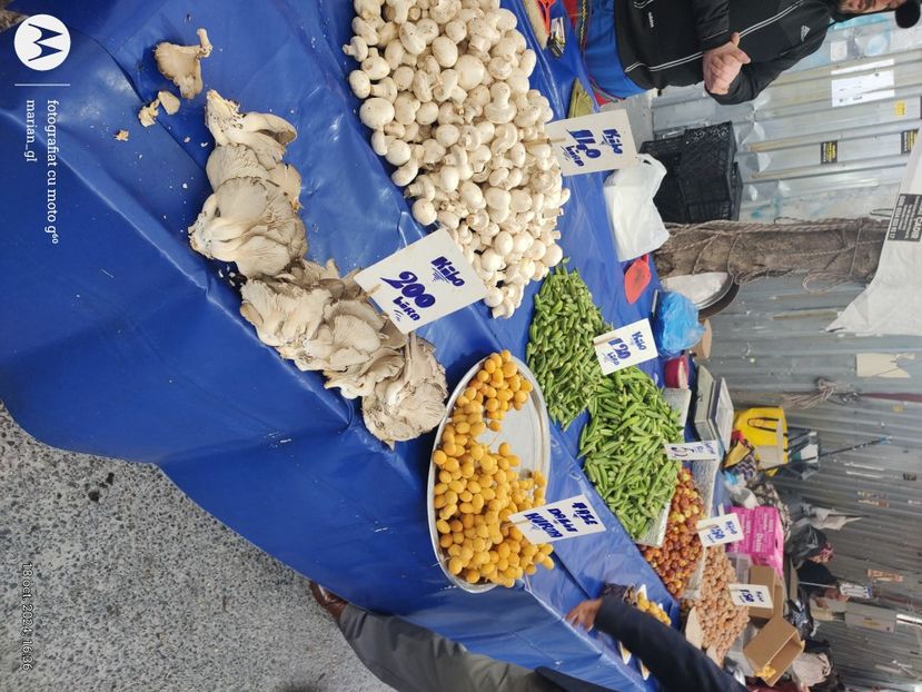  - ISTANBUL