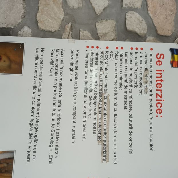  - PEȘTERA URȘILOR