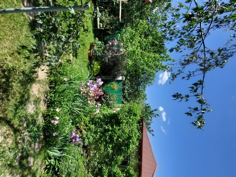  - 2024 continuare april mai