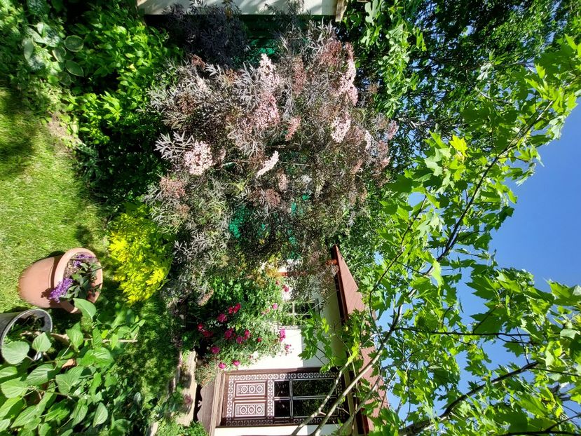  - 2024 continuare april mai