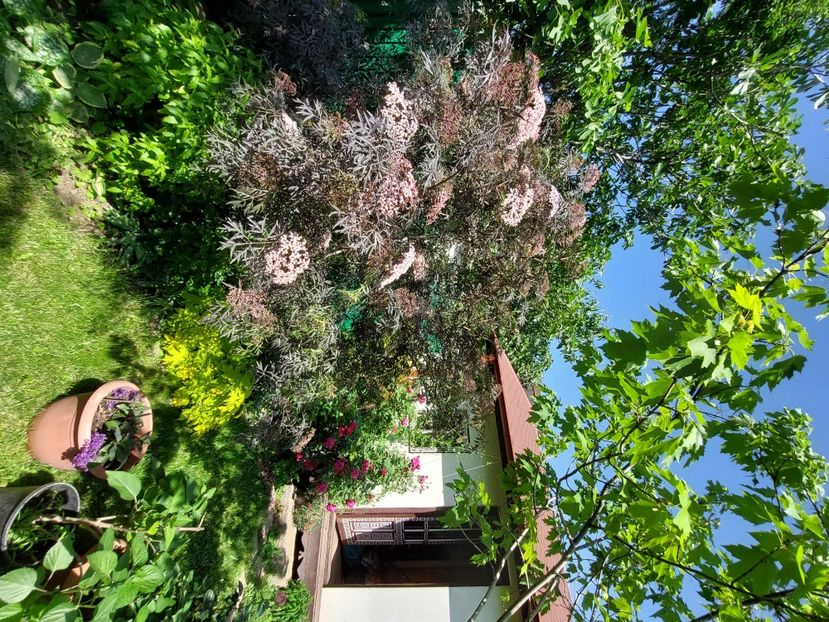  - 2024 continuare april mai