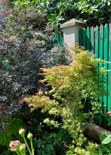  - 2024 continuare april mai